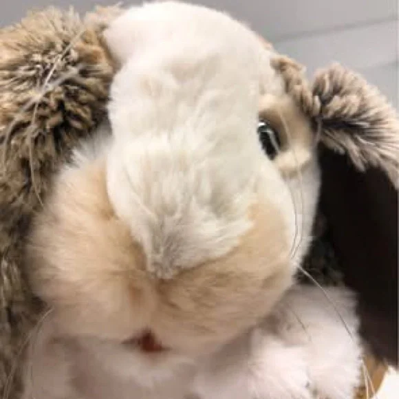 Folkmanis Baby Lop Rabbit hand puppet stuffed animal - Picture 5 of 7